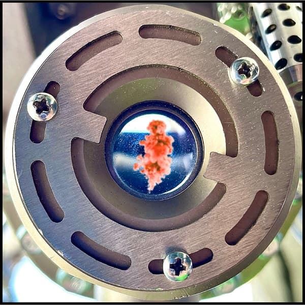 CI Sensing is now offering Ammonia Detection